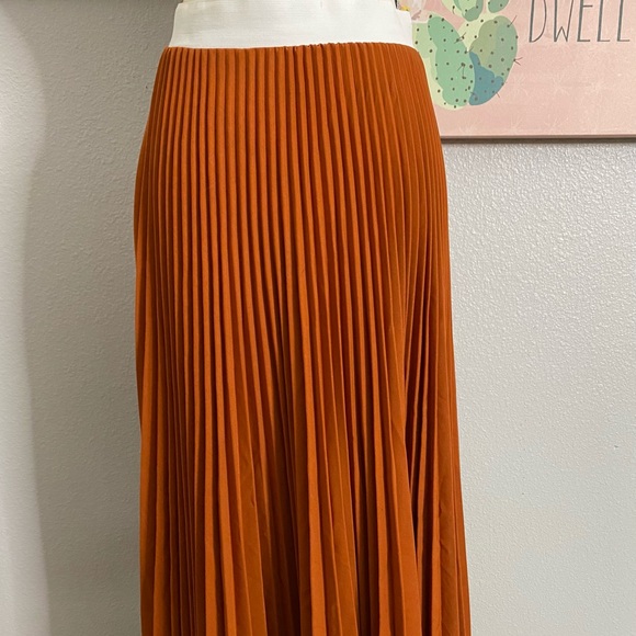 Ces Femme Dresses & Skirts - Rust Pleated Maxi Skirt